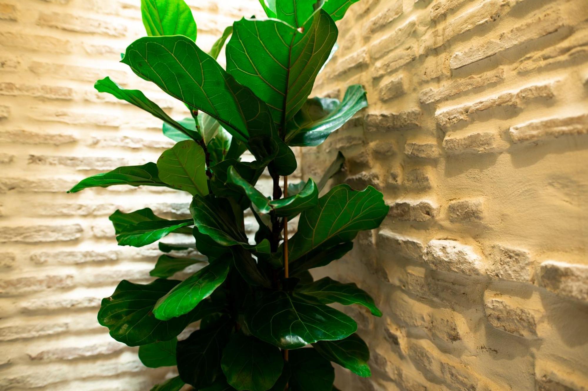 Legado Magdalena Hotel Seville Luaran gambar